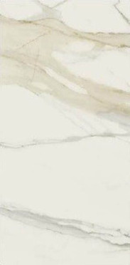 Керамогранит CAL.GOLD CHAIN A 6MM GLOSSY (750676) 120x240 от REX Ceramiche (Италия)