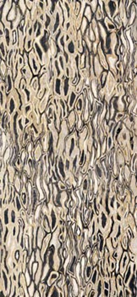 Декор THE ROOM GHEPARD6 260LP (167085) 120x260 от Imola Ceramica (Италия)