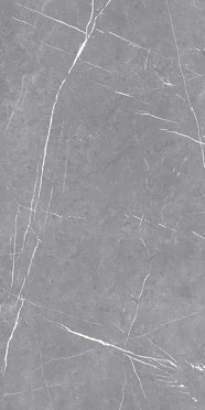 Керамогранит ALCORA GRIS matt (ETSTN1203MT60120) 60x120 от Eternal (Индия)