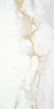 Керамогранит P.E. PUL. Camile gold rect. 60 60x120 от STN Ceramica (Stylnul) (Испания)