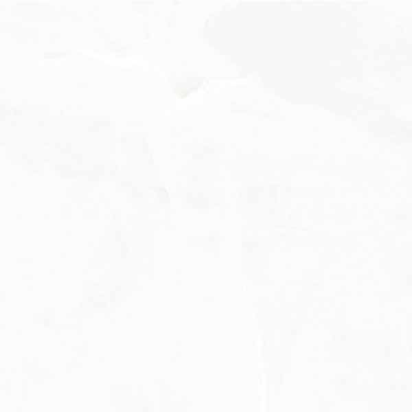 Керамогранит Onyx Hope светло-серый Полированный 60 60x60 от Ceradim (Индия)