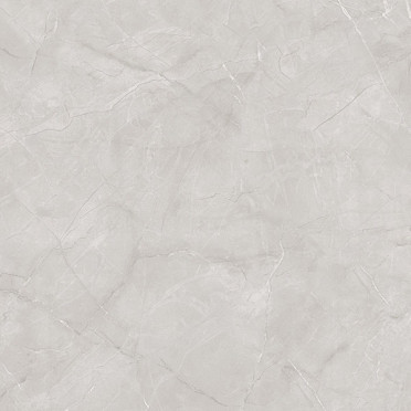 Керамогранит Vanity Bianco Carving (CR123) 60x60 от Primavera (Индия)