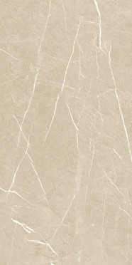 Керамогранит MEDLEY VIOLIN MOLATO RETTIFICATO (137259) 60x120 от Century (Италия)