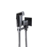 Гигиенический душ со смесителем Paini Bella BLCR442 хром