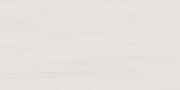 Керамогранит Marvel Stone Bianco Dolomite Lappato (AZRU) 45x90 от Atlas Concorde (Италия)