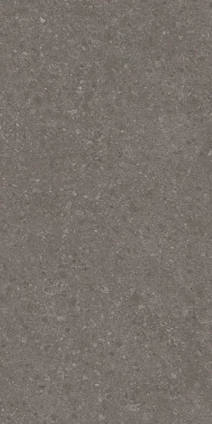 Керамогранит Чеппо ди Гре коричневый матовый обрезной (DD591700R) 119.5x238.5 от Kerama Marazzi (Россия)