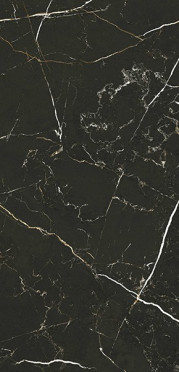 Керамогранит PORTLOREN BLACK PUL. (6mm) (полированная) 120x280 от TAU Ceramica (Испания)