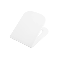 Сиденье для унитаза с крышкой быстросъемное с микролифтом BelBagno Ardente-R BB2322SC