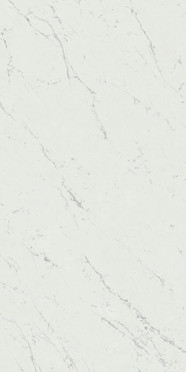 Керамогранит Marvel Stone Carrara Pure (A21E) 60x120 от Atlas Concorde (Италия)
