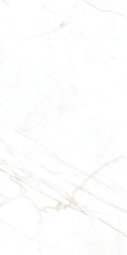 Керамогранит DUAL WHITE NT R 60x120 от Museum (Испания)