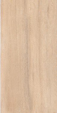 Керамогранит FORESTA Amazon Wood Beige Matt 60x120 от Staro (Индия)