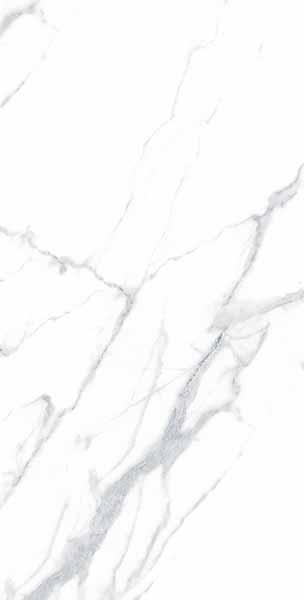 Керамогранит Statuario Justice Grey белый Полированный 60x120 от Ceradim (Индия)