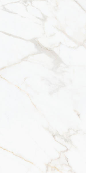 Керамогранит Nocturne Beyaz Altin FLPR (K2730ZN2P0510) 60x120 от Villeroy & Boch (Германия)