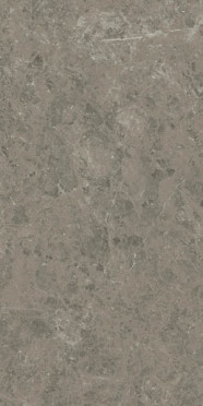 Керамогранит Marvel Meraviglia Grigio Elegante Lapp. (AJIA) 120x240 от Atlas Concorde (Италия)