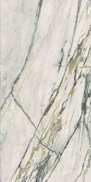 Керамогранит EPOQUE 21 CALACATTA BAMBOO ANT R (PF60009344) 60x120 от Ariana (Италия)