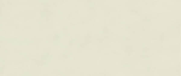 Керамогранит Boost Color Salix (AKM4) 50x120 от Atlas Concorde (Италия)