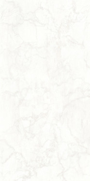 Керамогранит MYSTERY WHITE LUX/RET (СП1310) 8мм 60x120 от Tagina (Италия)