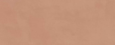 Настенная плитка Каннареджо оранжевый матовый (7254) 20x50x8 от Kerama Marazzi (Россия)