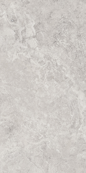 Керамогранит MYTHOLOGY REGIA SILVER MOL.RET. (141142) 60x120 от Monocibec (Италия)