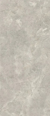 Керамогранит Platinum Leica Matt (12 мм) (MN226AY321612) 160x320 от Moreroom (Китай)