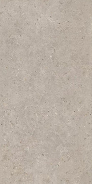 Керамогранит Риккарди бежевый матовый обрезной (SG540620R) 60x119.5x0.9 от Kerama Marazzi (Россия)