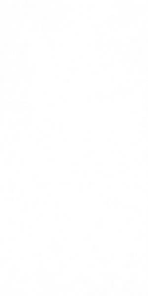 Керамогранит MARMOKER CANOVA LUCIDO (2460231) 60x120 от Casalgrande Padana (Италия)