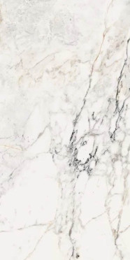 Керамогранит Aesthetica AE PAO6 12 LP 60x120 от La Faenza (Италия)