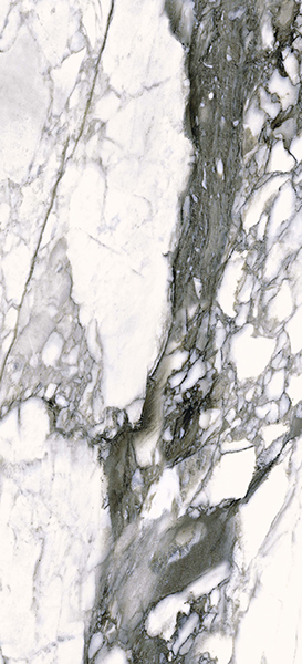 Керамогранит THE WILD SPIRIT CAL.RENOIR LX RT (0500867) 59.6x119.2 от Roberto Cavalli (Италия)