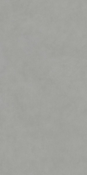 Керамогранит Про Чементо серый матовый обрезной (DD590900R) 119.5x238.5x1.1 от Kerama Marazzi (Россия)