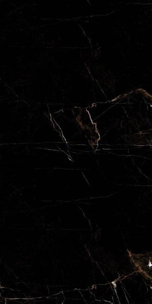 Керамогранит Marble Tropic Black 60x120 от Artcer (Индия)