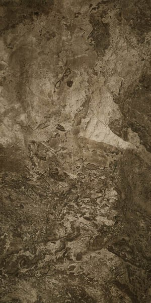 Керамогранит FOSSIL BROWN FULL LAPPATO 60x120 от Seranit (Турция)