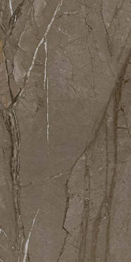 Керамогранит SIERA VIZION MATT RECTIFIED 60x120 от Kutahya (Турция)