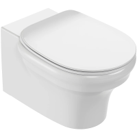 Унитаз подвесной Jacob Delafon Cleo 1889 EDZ102-0 безободковый