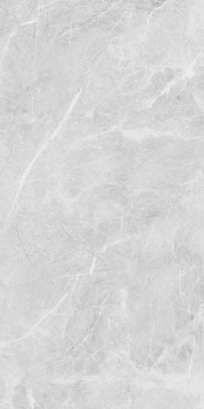 Керамогранит Belvedere Eva Grey Polished (N20467) 60x120 от Neodom (Индия)