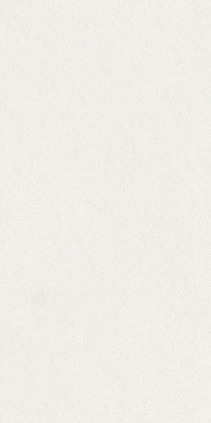 Керамогранит SUPERCLASSICA SCW Hammered (4101024) 60x120 от 41ZERO42 (Италия)