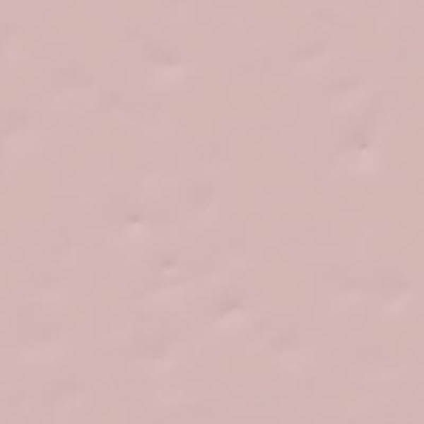 Настенная плитка Paola Rosa-B 20x20 от Vives Ceramica (Испания)