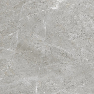 Керамогранит BALTIC GREY glossy (ETSTN1236GL6060) 60x60 от Eternal (Индия)