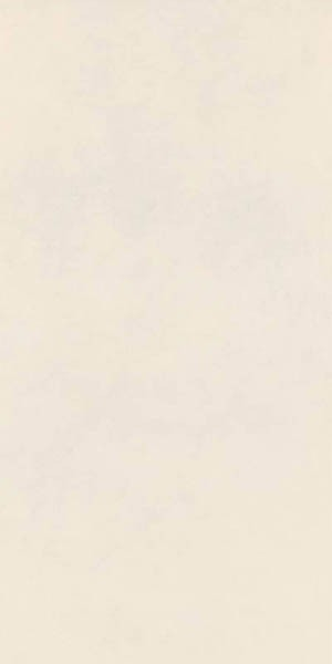 Керамогранит Decora Bianco Rett (RA59) 60x120 от Ragno (Италия)