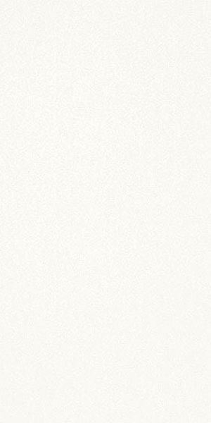 Керамогранит Black-White SNOW 50 50x100x3.5 от Kerlite (Италия)