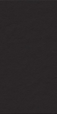 Керамогранит PIETRA DI LUNA NOIR NAT/RET (122083) 45x90 от Tagina (Италия)