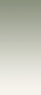 Декор Dekor gresowy Cielo e Terra Ombra verde Gat.1 274.8x119.8 от Tubadzin (Польша)