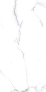 Керамогранит Splendida Statuario Chic Matt (N20532) 60x120 от Neodom (Индия)