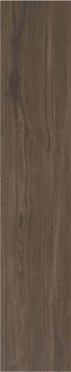 Керамогранит Dexter Nogal 23x120 от STN Ceramica (Stylnul) (Испания)