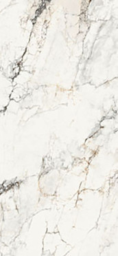 Керамогранит Aesthetica AE PAO6 278 LP (AEPAO6278LP) 120x278 от La Faenza (Италия)