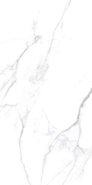 Керамогранит Statuario matt (BHW-0005) 60x120x10 от Basconi Home (Китай)