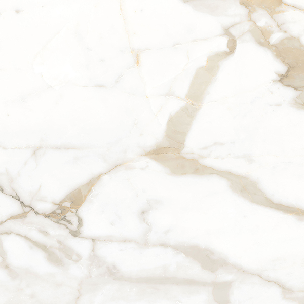 Керамогранит Calacatta Superior белый Матовый 60 60x60 от Ceradim (Индия)