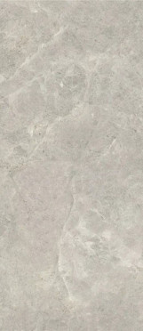 Керамогранит Platinum Leica Polished (6 мм) (MN226AP261206) 120x260 от Moreroom (Китай)