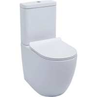 Чаша напольного унитаза с сиденьем микролифт Aquanet Cetus CETUS-C1 безободковая