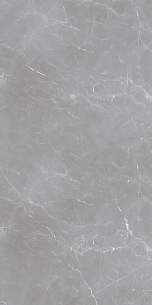 Керамогранит Arion Gray Dark 20мм 59.7x119.7 от Ocean Ceramic (Иран)