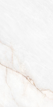 Керамогранит MUSEUM DAHLIA White EP 60x120 от Museum (Испания)